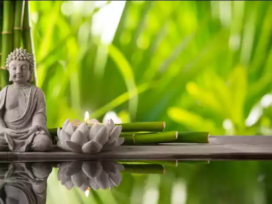 Ling Chi gyógyító meditáció a WU Expert Guide Carole Park segítségével