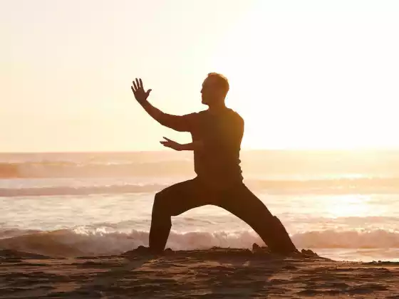 Qigong 8 بروکیڈس کے ساتھ