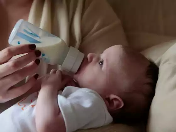Postpartum Feeding
