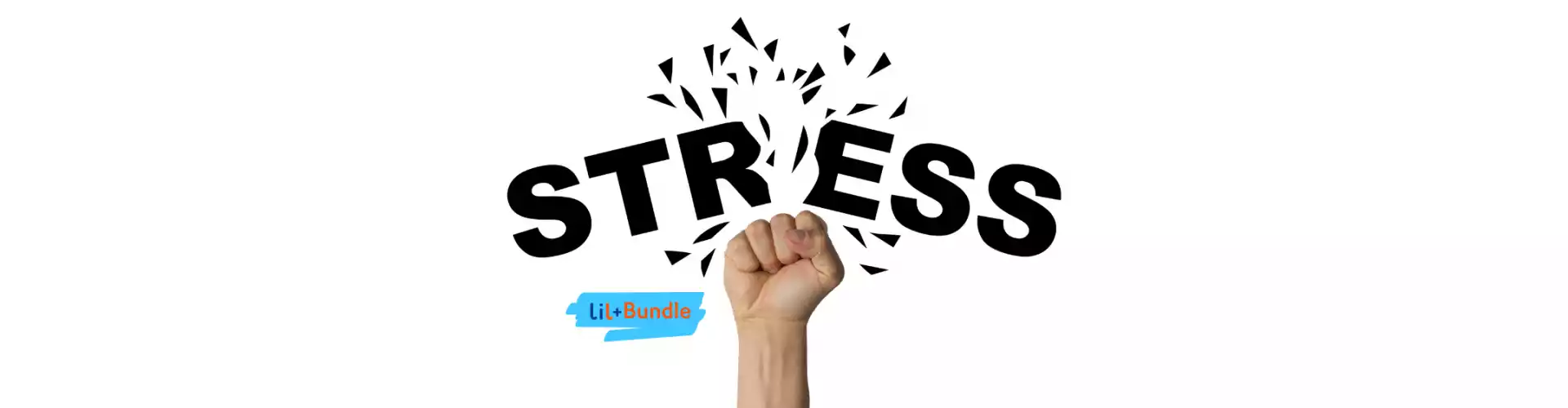 Bundle: ストレス管理バンドル - Online Course by Learn It Live