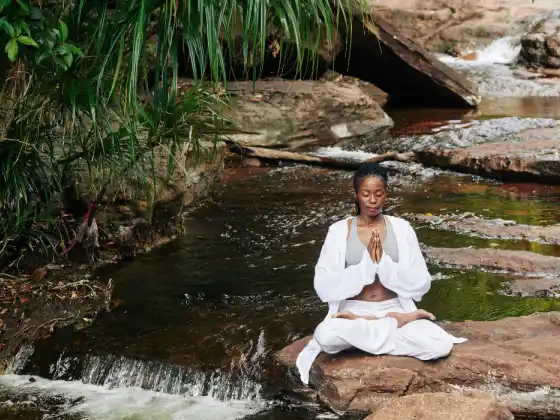 Gassho Geçidi: Reiki Uygulayıcıları için Kalp Merkezli Meditasyon