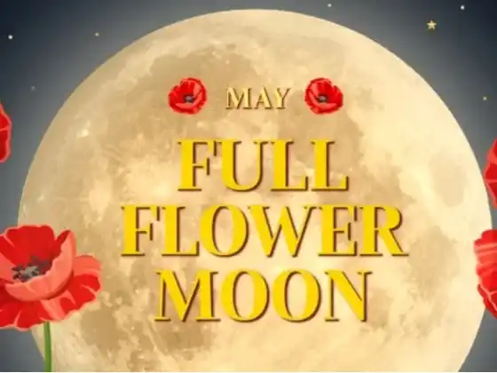 Meditasi Bulan Purnama