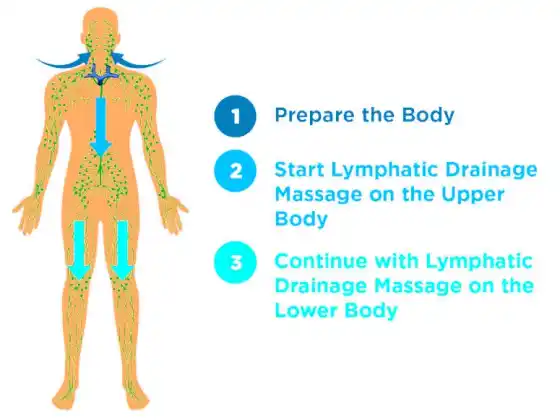 Offrez-vous un auto-massage de drainage lymphatique 3 cours
