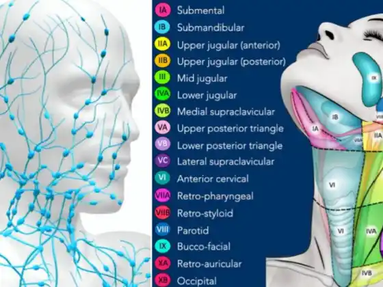 Thoát lưu bạch huyết bằng tay ở đầu và cổ