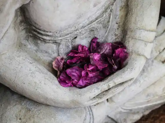 Energy Healing to awaken Divine Guidance