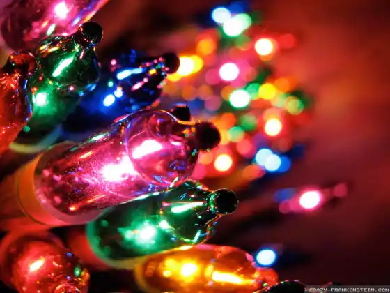 Winter Solstice Ceremony 2024 - Merry and Bright