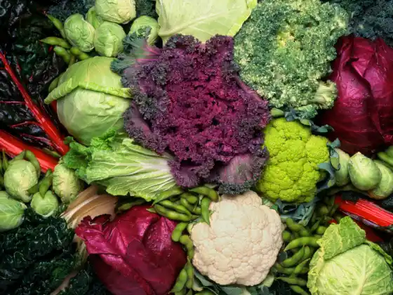 Apat na Bagay na Dapat Gawin sa Cruciferous Vegetables - Bagong materyal! Update para sa 2025!
