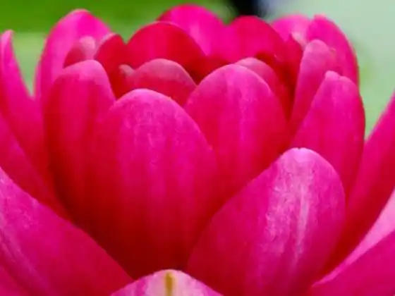 शरीर और आत्मा के लिए वसंत समाशोधन: शुद्धि से परे