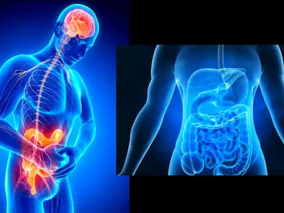 Dirige tu cuerpo para sanar el tracto digestivo