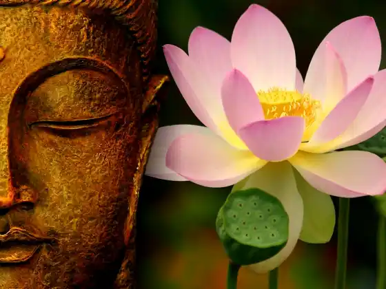 Reiki Level Two 
