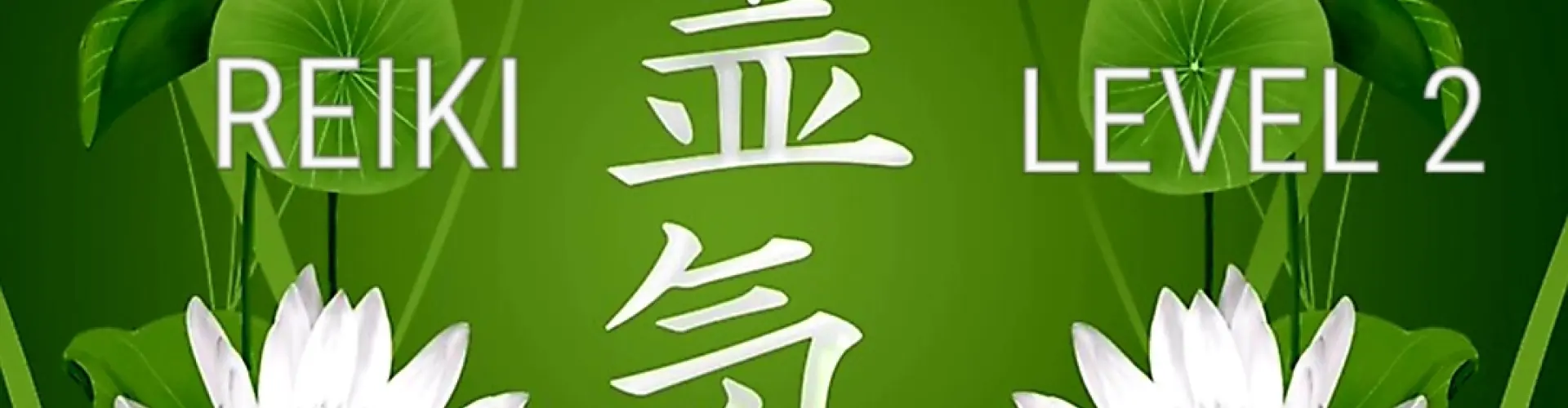 Reiki 2. szint - Online Class by Cassaundra Paolini